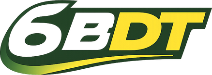 6 bdt